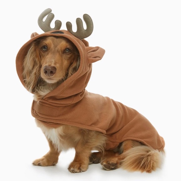 🔥 🎁💝🐶 3 Package Variety Small Dog Costumes - Picture 4 of 6